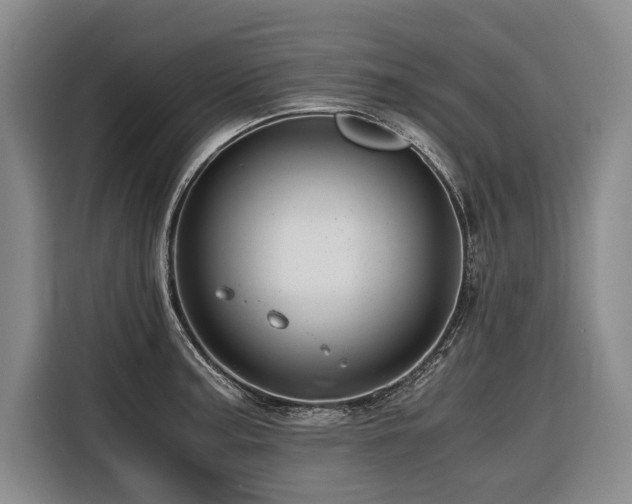 X0000116441187200912081550