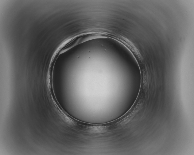 X0000116441188200912081550