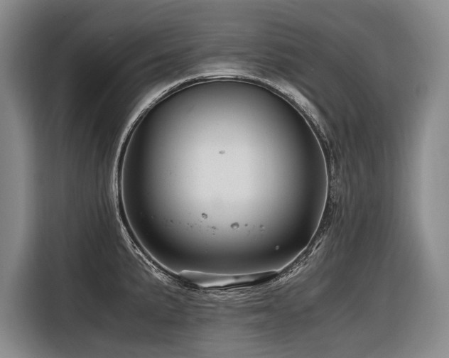 X0000116441191200912081550