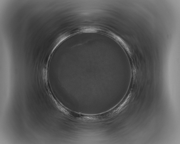 X0000116441194200912081550