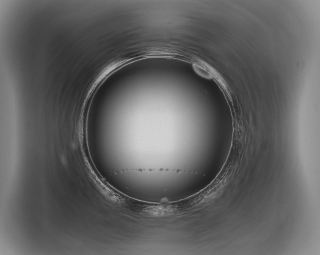X0000116441195200912081550