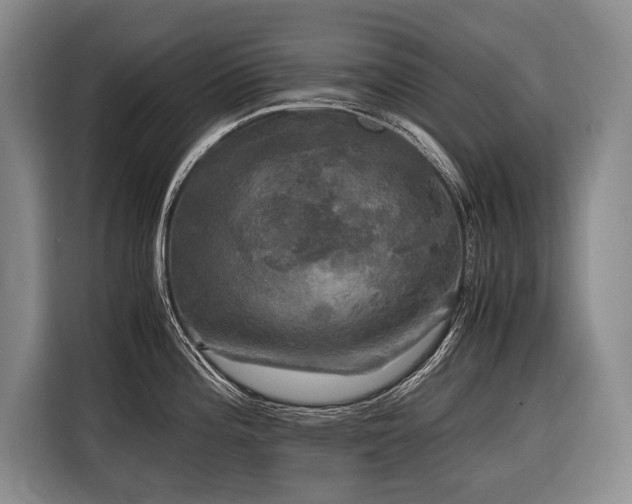 X0000116441196200912081550