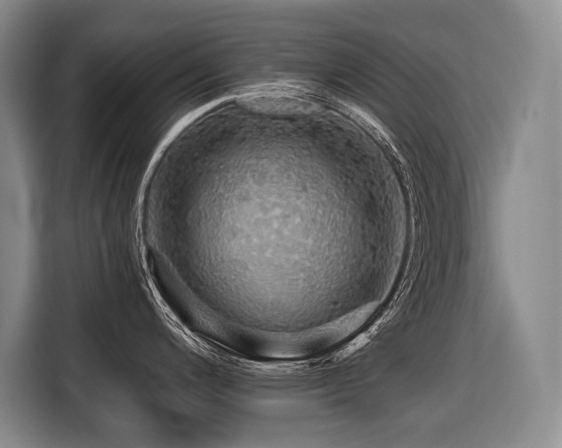X0000116441200200912081550