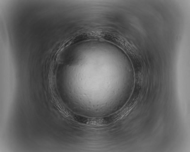 X0000116441201200912081549