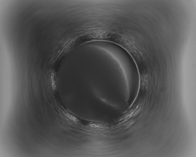 X0000116441202200912081549