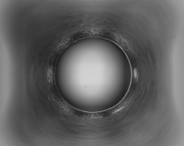X0000116441203200912081549