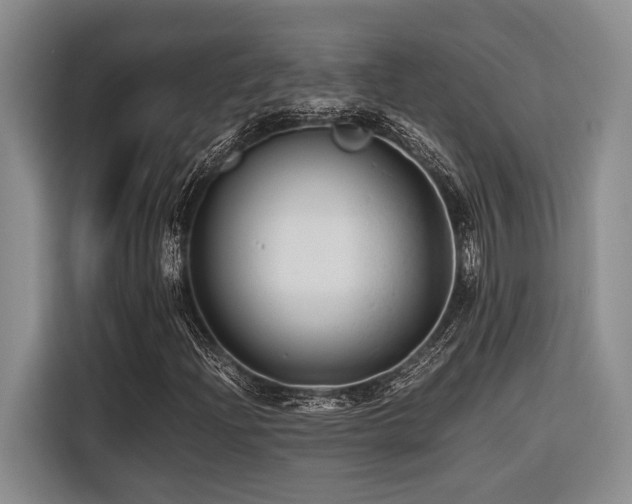 X0000116441204200912081549