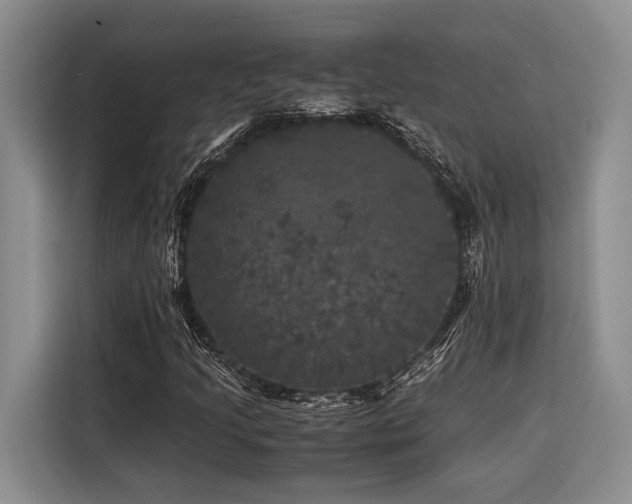 X0000116441205200912081549