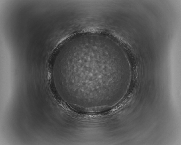 X0000116441206200912081549