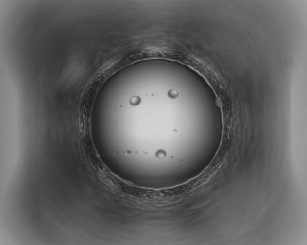 X0000116441207200912081549