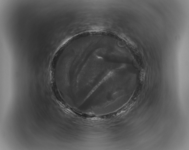 X0000116441208200912081549