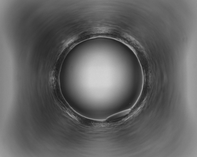 X0000116441210200912081549