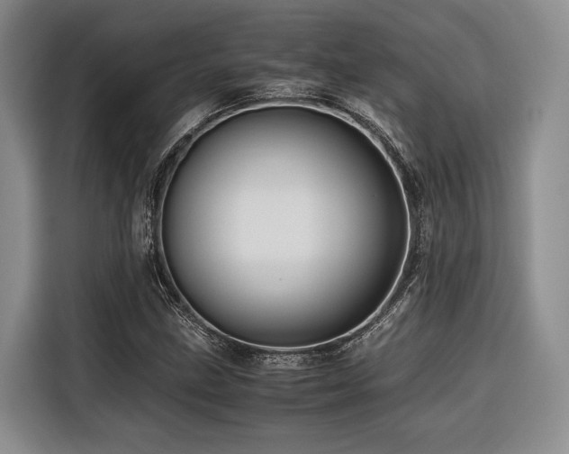 X0000116441211200912081549