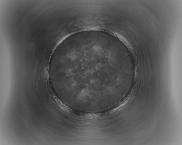 X0000116441212200912081549
