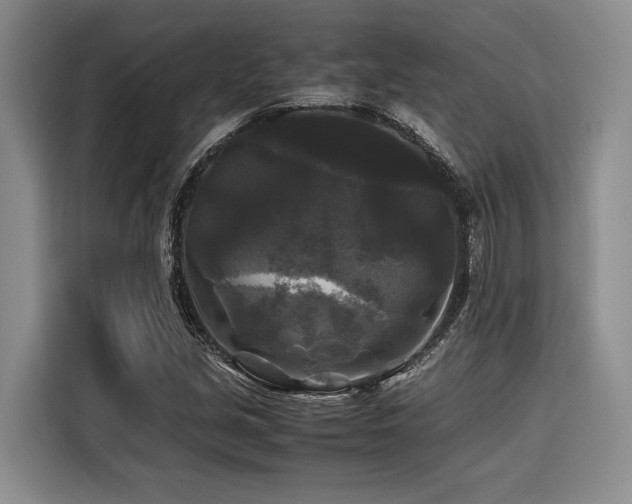 X0000116441213200912081549