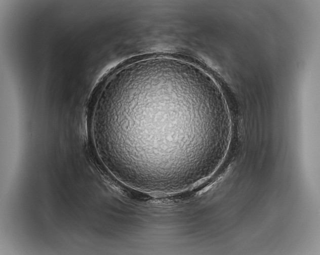 X0000116441214200912081549