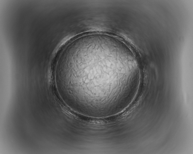 X0000116441215200912081549