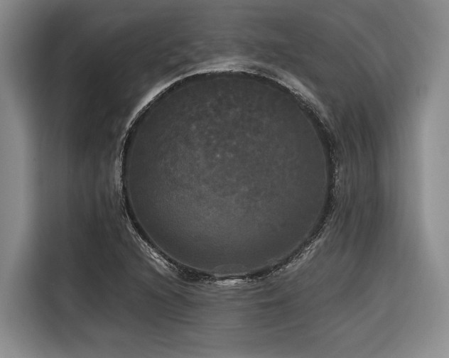 X0000116441216200912081549