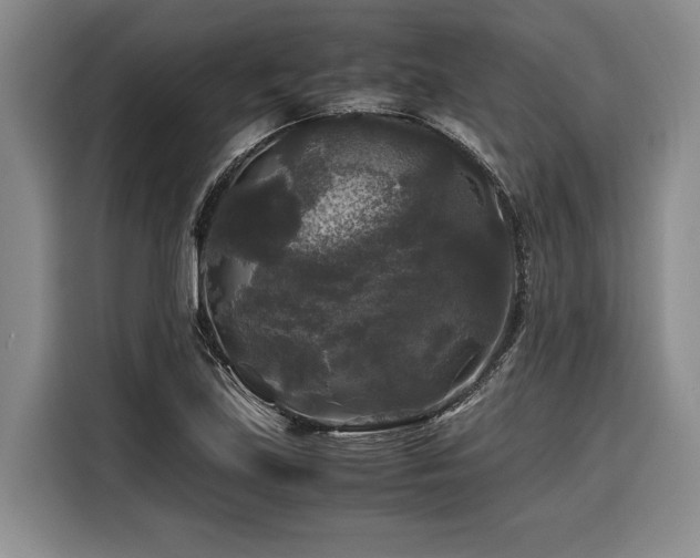 X0000116441219200912081550