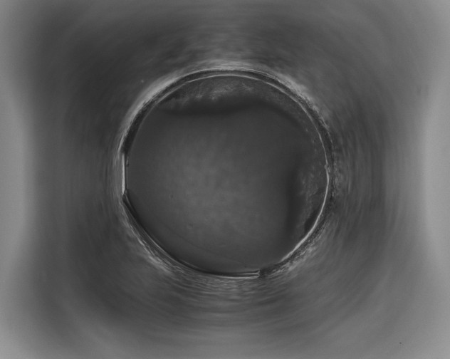 X0000116441223200912081550