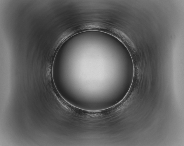 X0000116441225200912081550