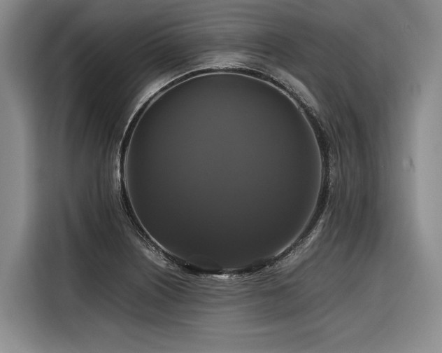 X0000116441226200912081550
