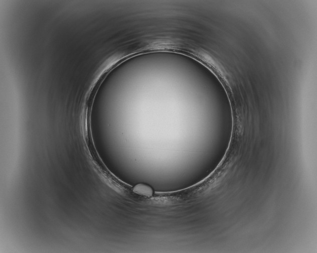 X0000116441227200912081550