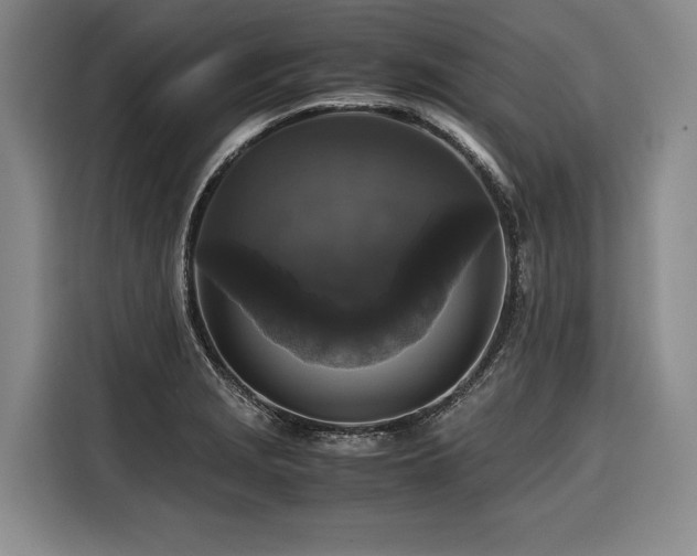 X0000116441229200912081550