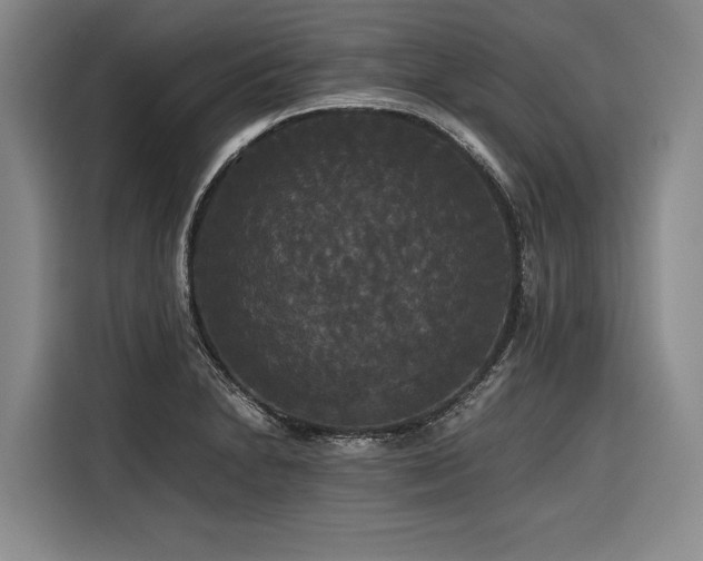 X0000116441230200912081550