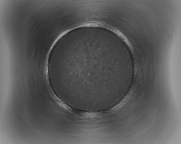 X0000116441232200912081550