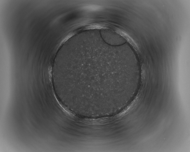 X0000116441233200912081550