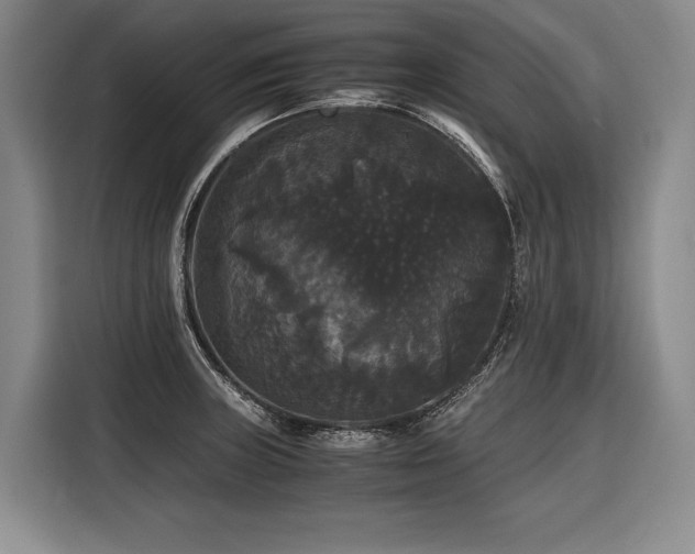 X0000116441235200912081550