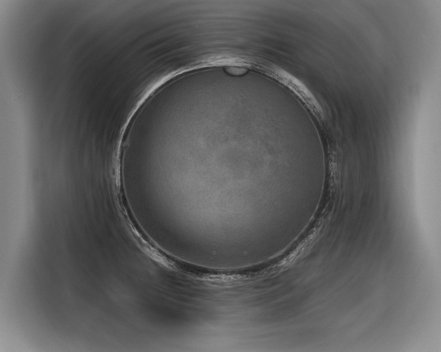X0000116441236200912081550