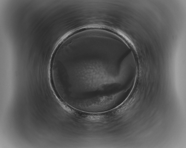 X0000116441237200912081550