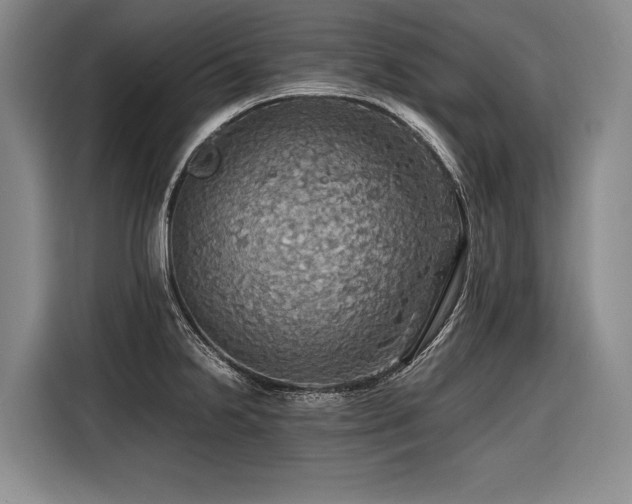 X0000116441238200912081550