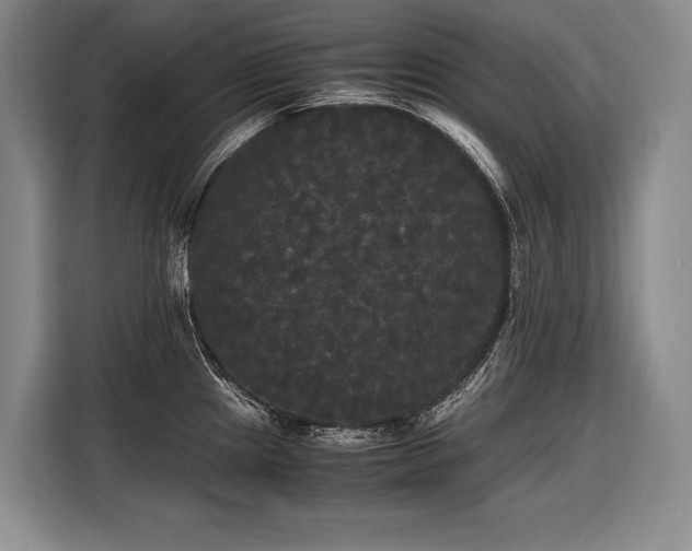 X0000116441241200912081550