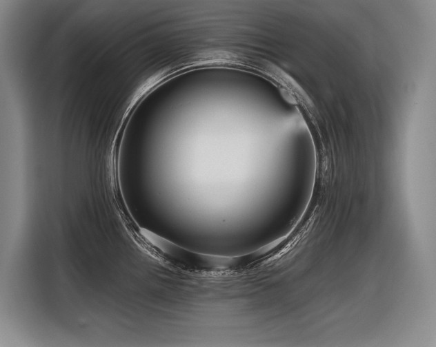 X0000116441242200912081550