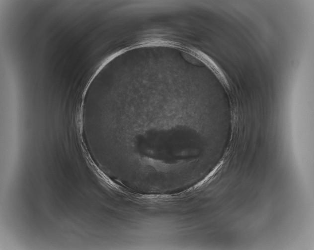 X0000116441244200912081550