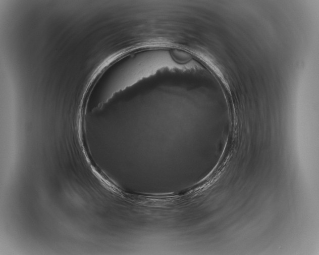 X0000116441245200912081550