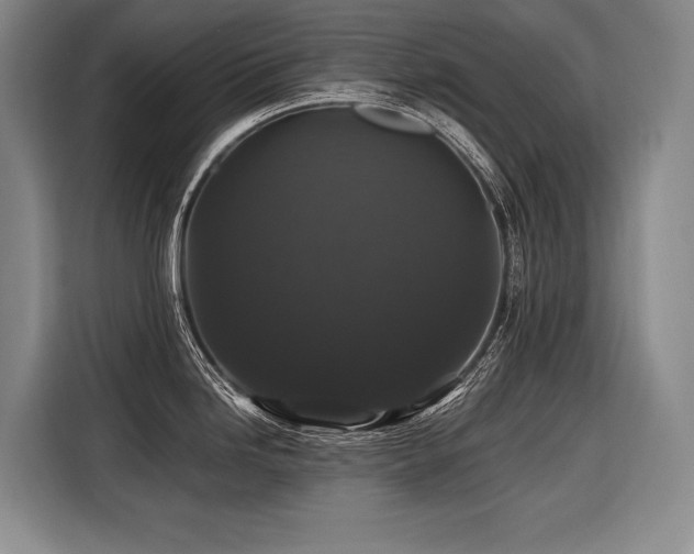 X0000116441246200912081550