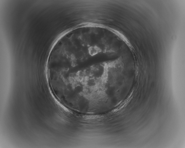 X0000116441247200912081550