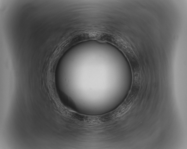X0000116441249200912081549