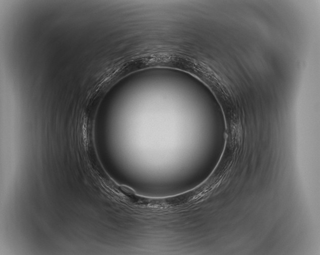X0000116441250200912081549