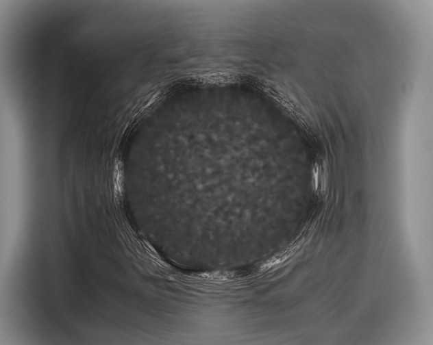 X0000116441251200912081549