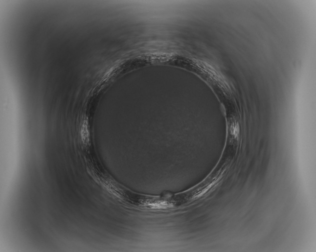 X0000116441252200912081549