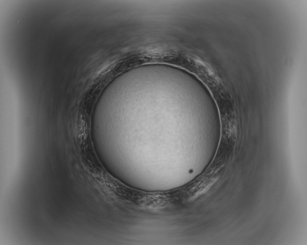 X0000116441253200912081549