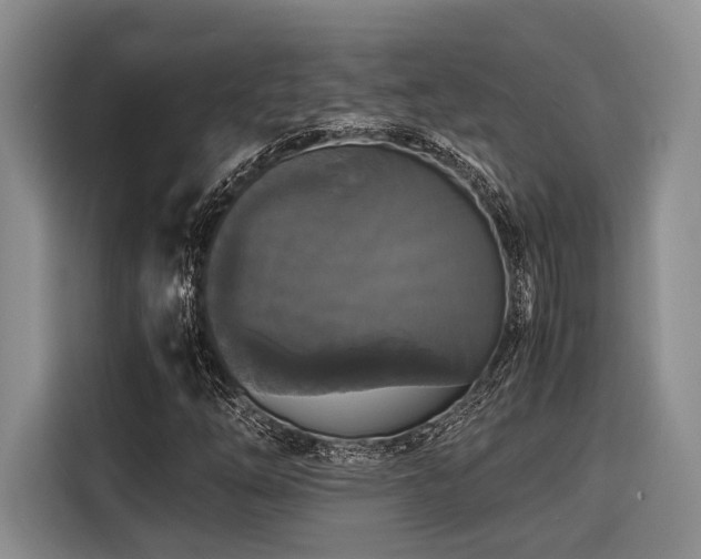 X0000116441254200912081549
