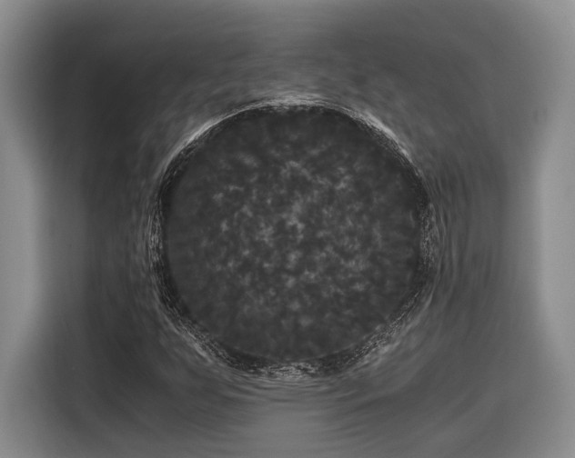 X0000116441255200912081549