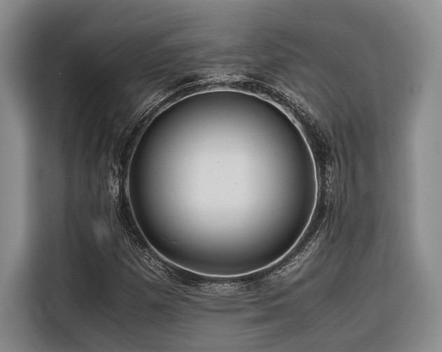 X0000116441257200912081549
