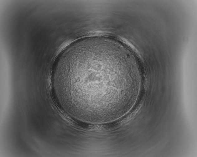 X0000116441259200912081549